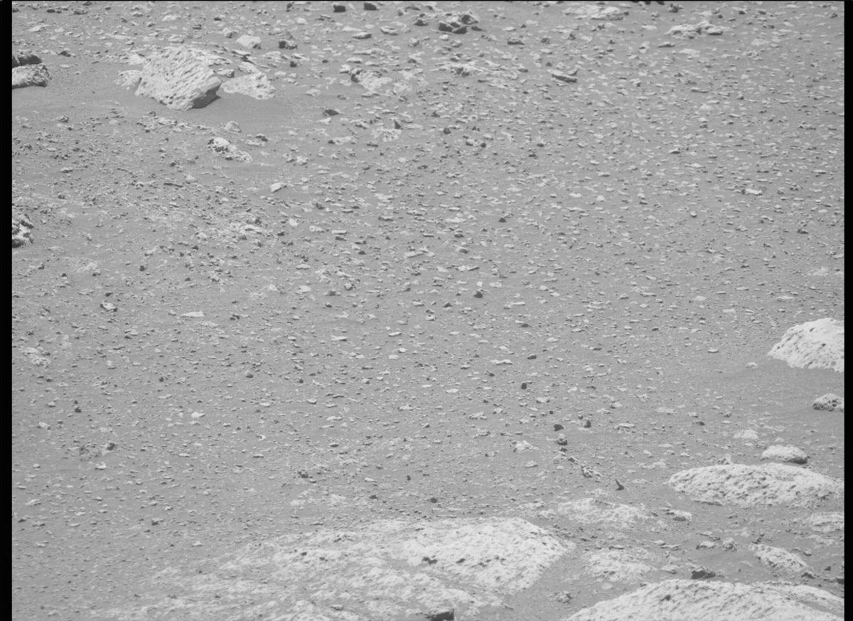 This image was taken by MCZ_RIGHT onboard NASA's Mars rover Perseverance on Sol 137