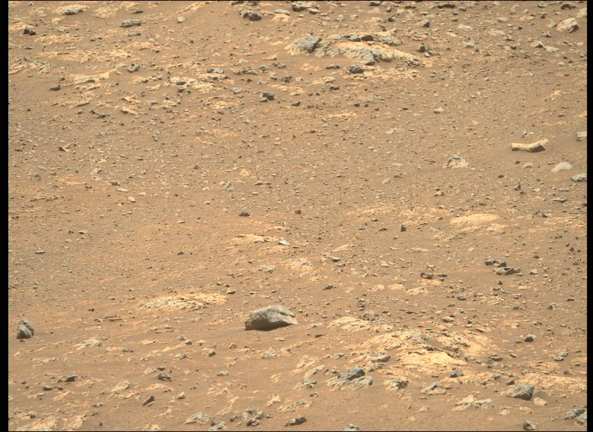 This image was taken by MCZ_RIGHT onboard NASA's Mars rover Perseverance on Sol 137