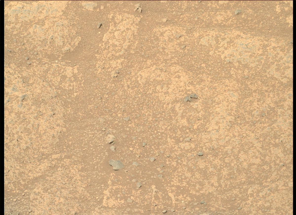 This image was taken by MCZ_RIGHT onboard NASA's Mars rover Perseverance on Sol 137