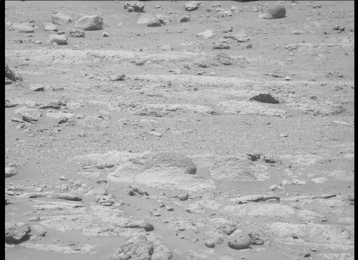 This image was taken by MCZ_LEFT onboard NASA's Mars rover Perseverance on Sol 138
