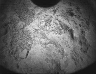 View image taken on Mars, Mars Perseverance Sol 140: PIXL Camera 