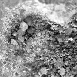 View image taken on Mars, Mars Perseverance Sol 141: SHERLOC ACI Camera 
