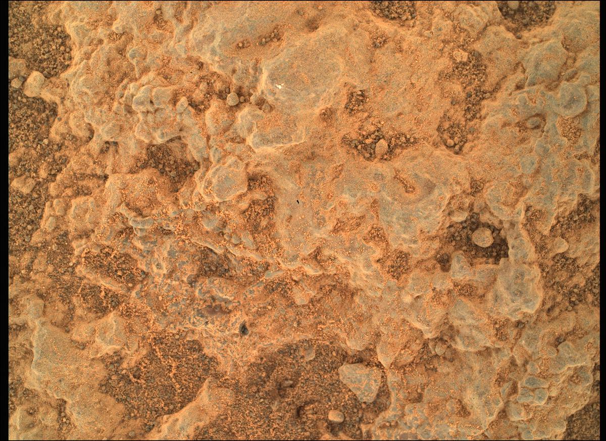 This image was taken by SHERLOC_WATSON onboard NASA's Mars rover Perseverance on Sol 141