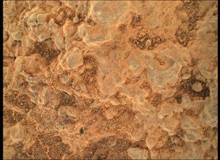 View image taken on Mars, Mars Perseverance Sol 141: WATSON Camera 