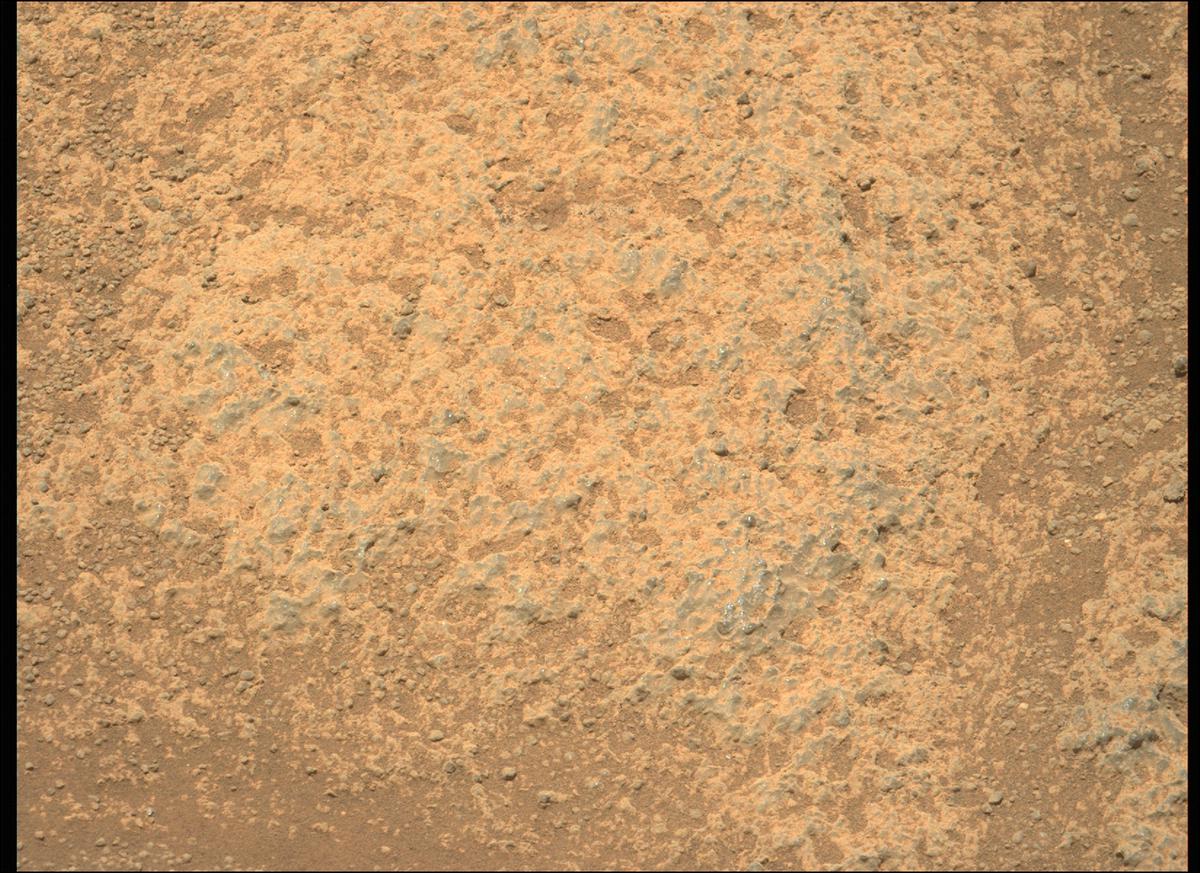 This image was taken by MCZ_LEFT onboard NASA's Mars rover Perseverance on Sol 142