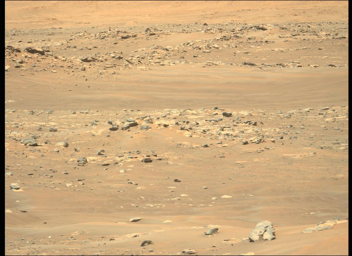 This image was taken by MCZ_LEFT onboard NASA's Mars rover Perseverance on Sol 143