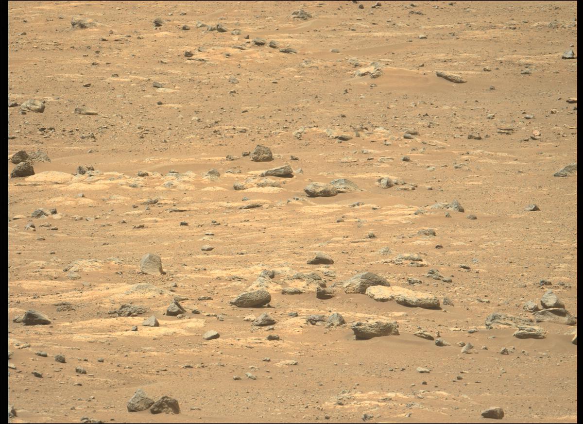 This image was taken by MCZ_LEFT onboard NASA's Mars rover Perseverance on Sol 145