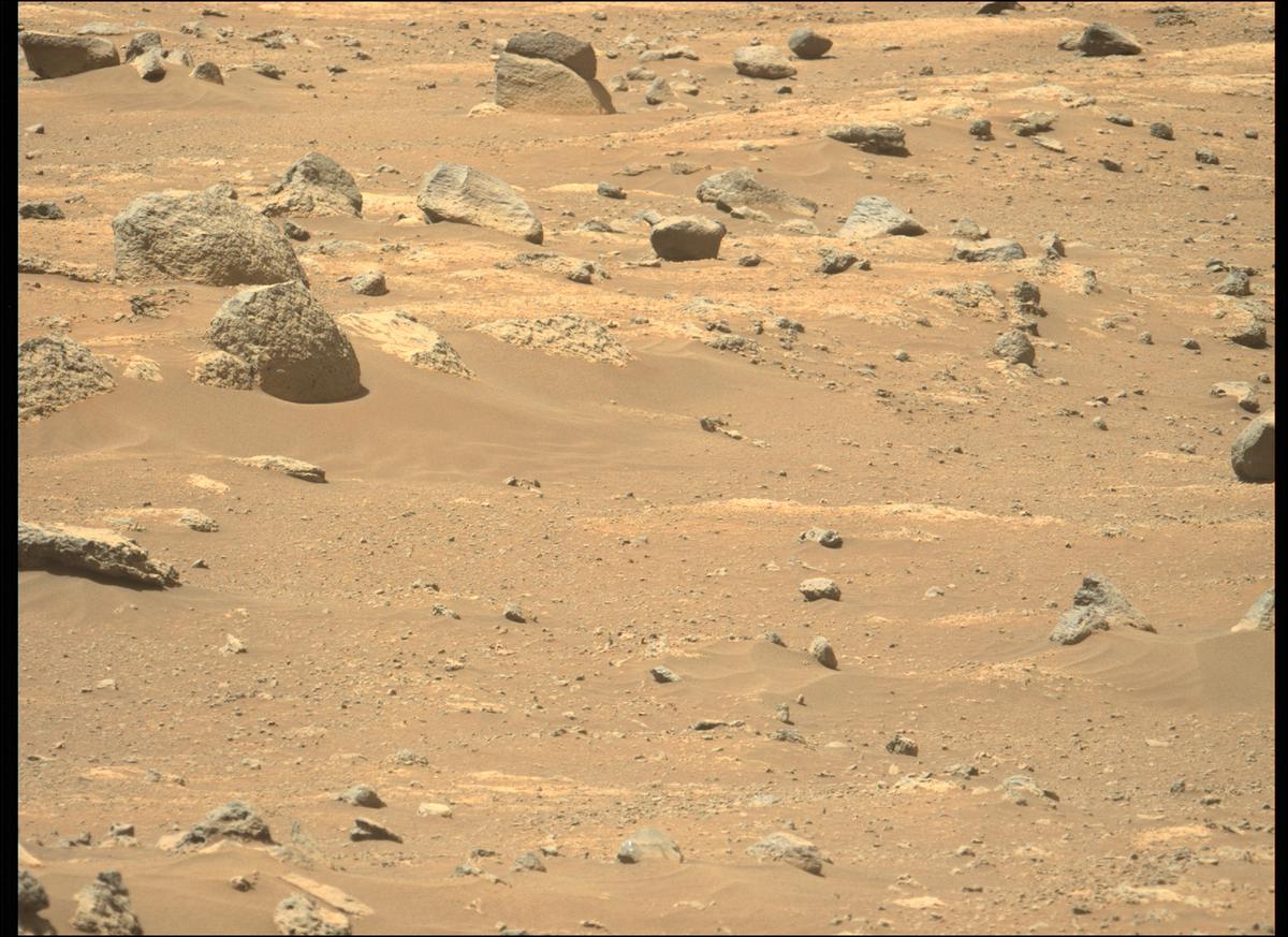 This image was taken by MCZ_LEFT onboard NASA's Mars rover Perseverance on Sol 145