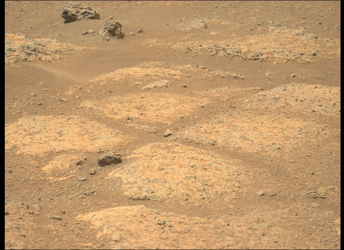 This image was taken by MCZ_LEFT onboard NASA's Mars rover Perseverance on Sol 145