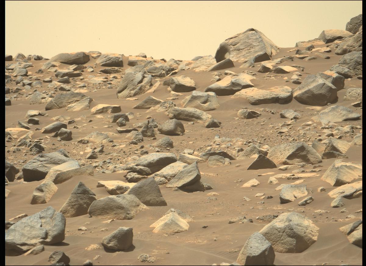 This image was taken by MCZ_LEFT onboard NASA's Mars rover Perseverance on Sol 145
