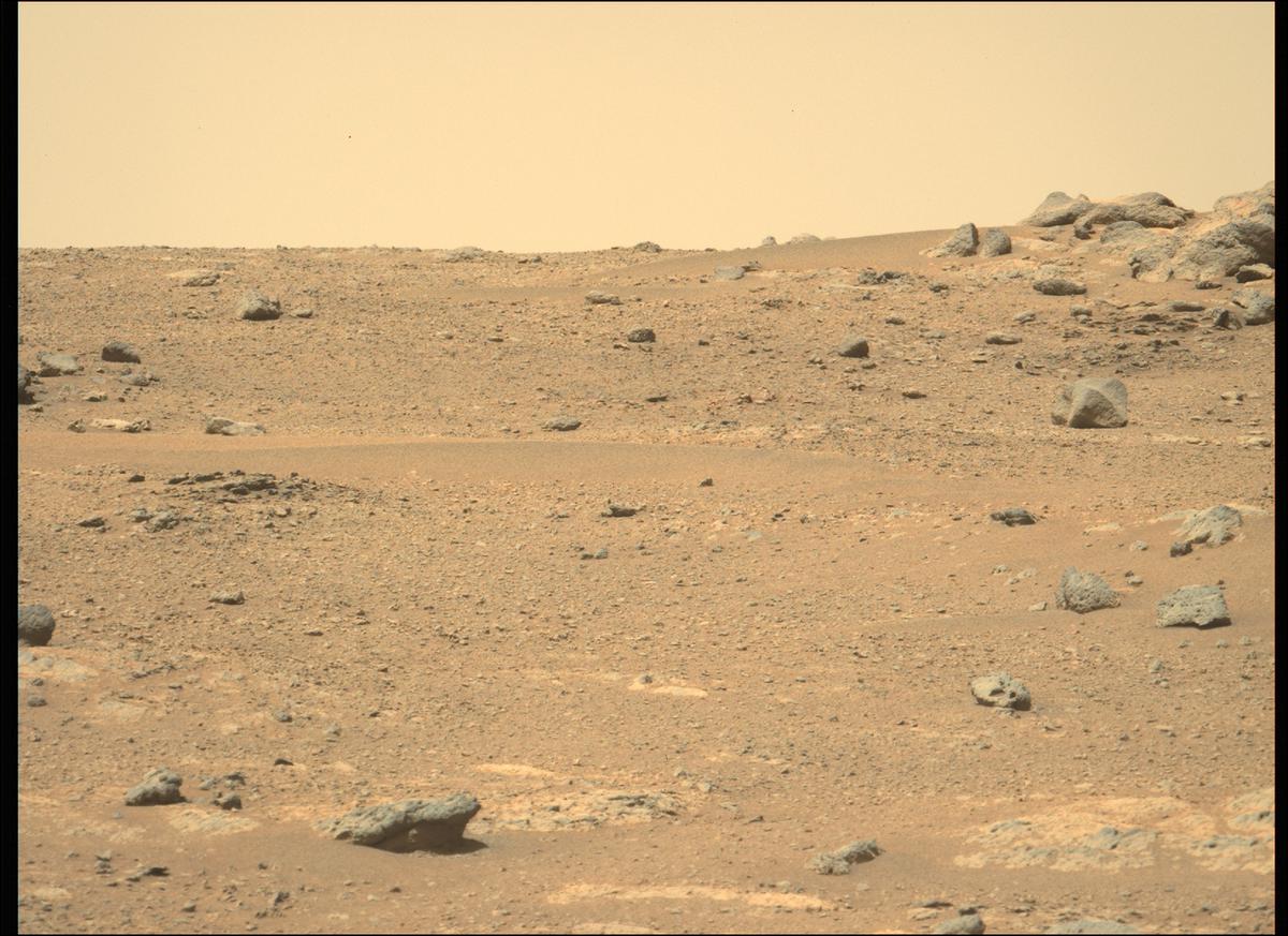 This image was taken by MCZ_LEFT onboard NASA's Mars rover Perseverance on Sol 145
