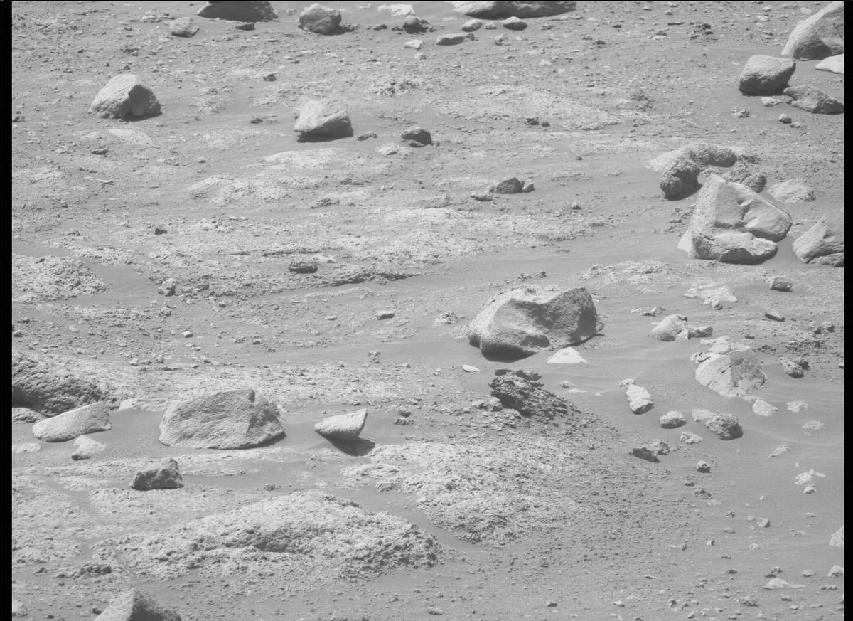 This image was taken by MCZ_LEFT onboard NASA's Mars rover Perseverance on Sol 145
