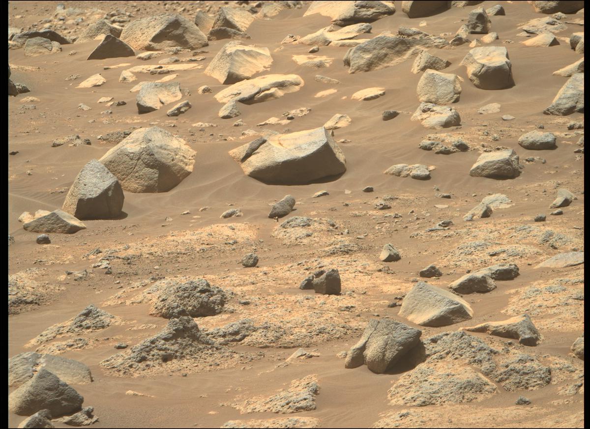 This image was taken by MCZ_RIGHT onboard NASA's Mars rover Perseverance on Sol 145