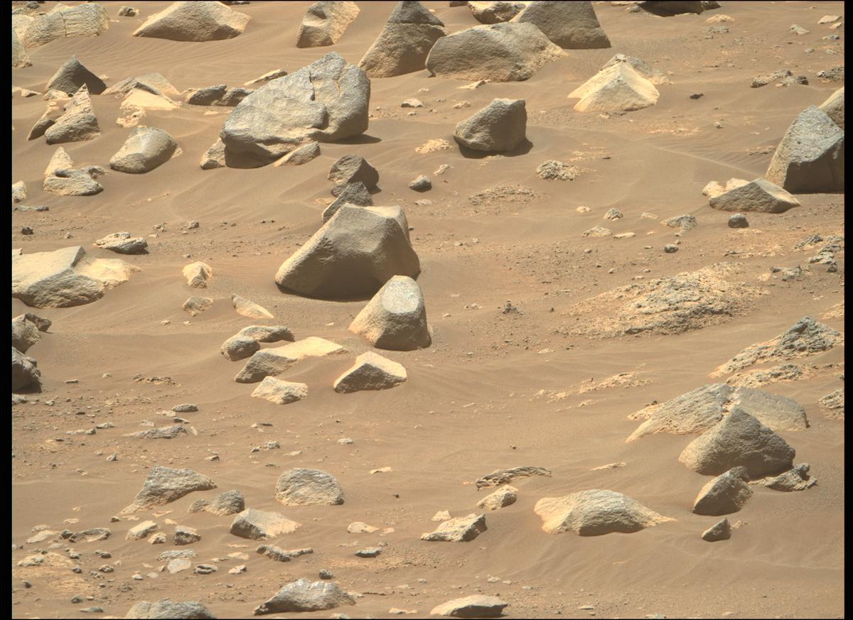 This image was taken by MCZ_RIGHT onboard NASA's Mars rover Perseverance on Sol 145