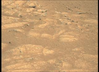 View image taken on Mars, Mars Perseverance Sol 146: Left Mastcam-Z Camera