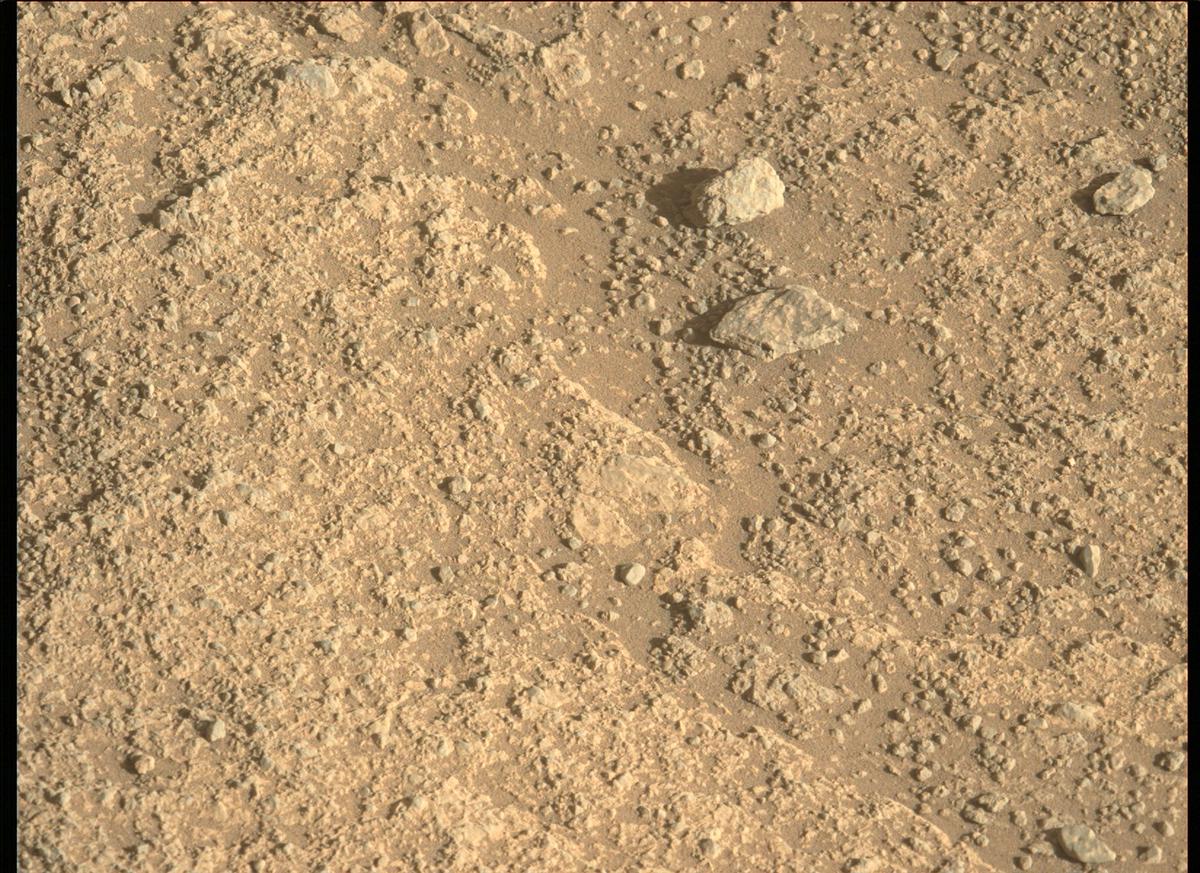 This image was taken by MCZ_LEFT onboard NASA's Mars rover Perseverance on Sol 147