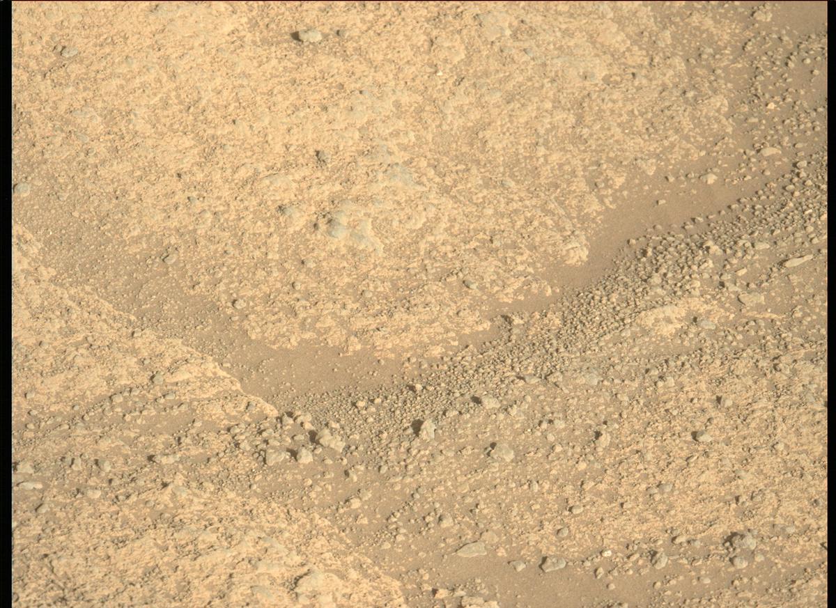 This image was taken by MCZ_LEFT onboard NASA's Mars rover Perseverance on Sol 147