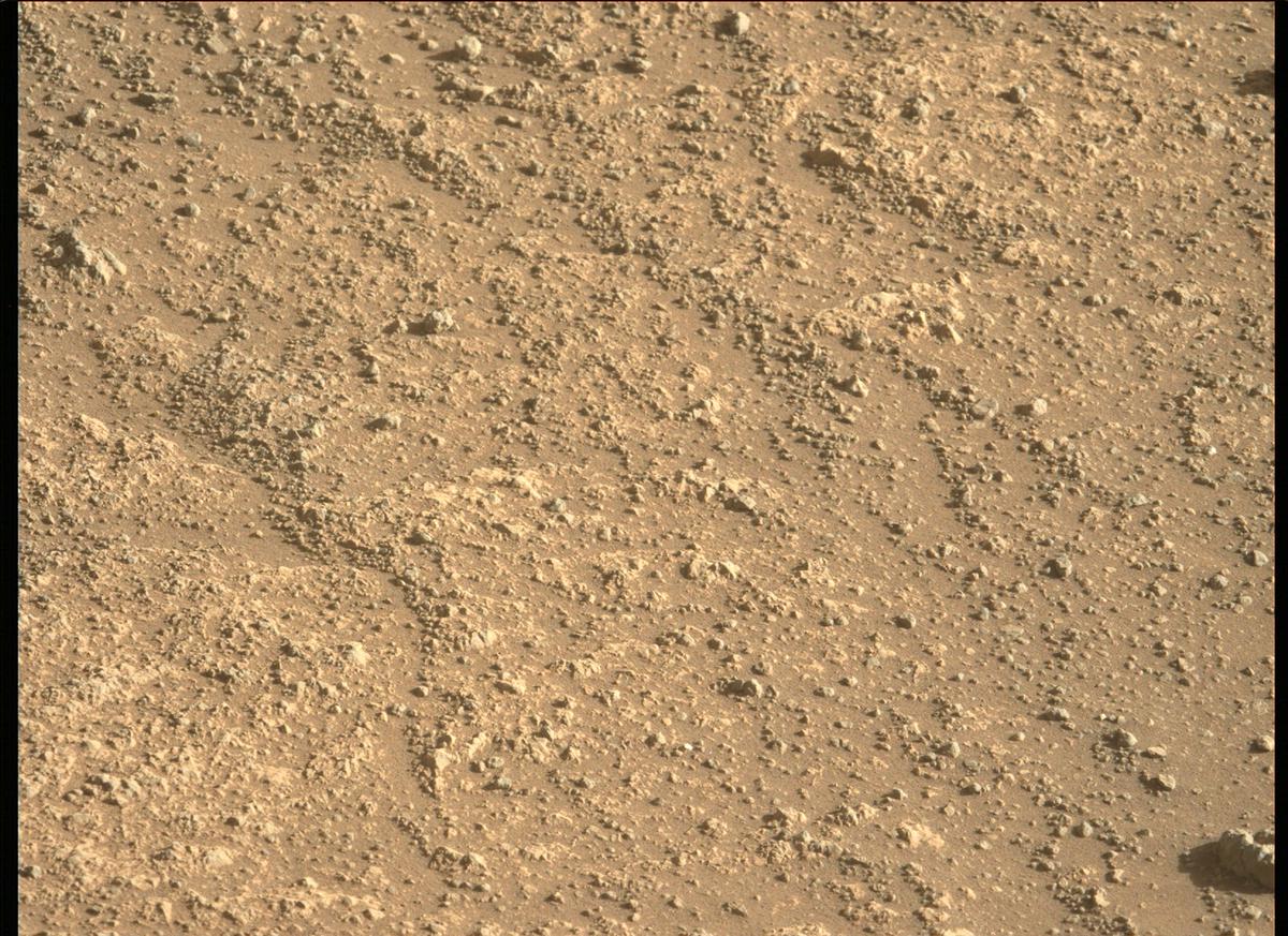 This image was taken by MCZ_LEFT onboard NASA's Mars rover Perseverance on Sol 147