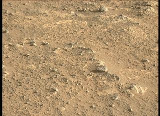 View image taken on Mars, Mars Perseverance Sol 147: Left Mastcam-Z Camera