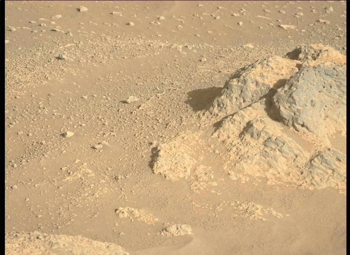 This image was taken by MCZ_LEFT onboard NASA's Mars rover Perseverance on Sol 147