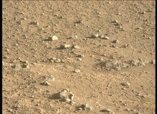 View image taken on Mars, Mars Perseverance Sol 147: Left Mastcam-Z Camera