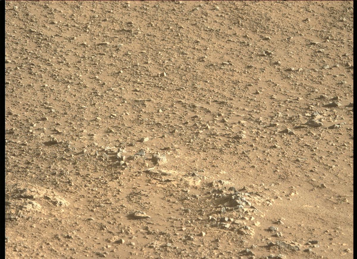 This image was taken by MCZ_LEFT onboard NASA's Mars rover Perseverance on Sol 147