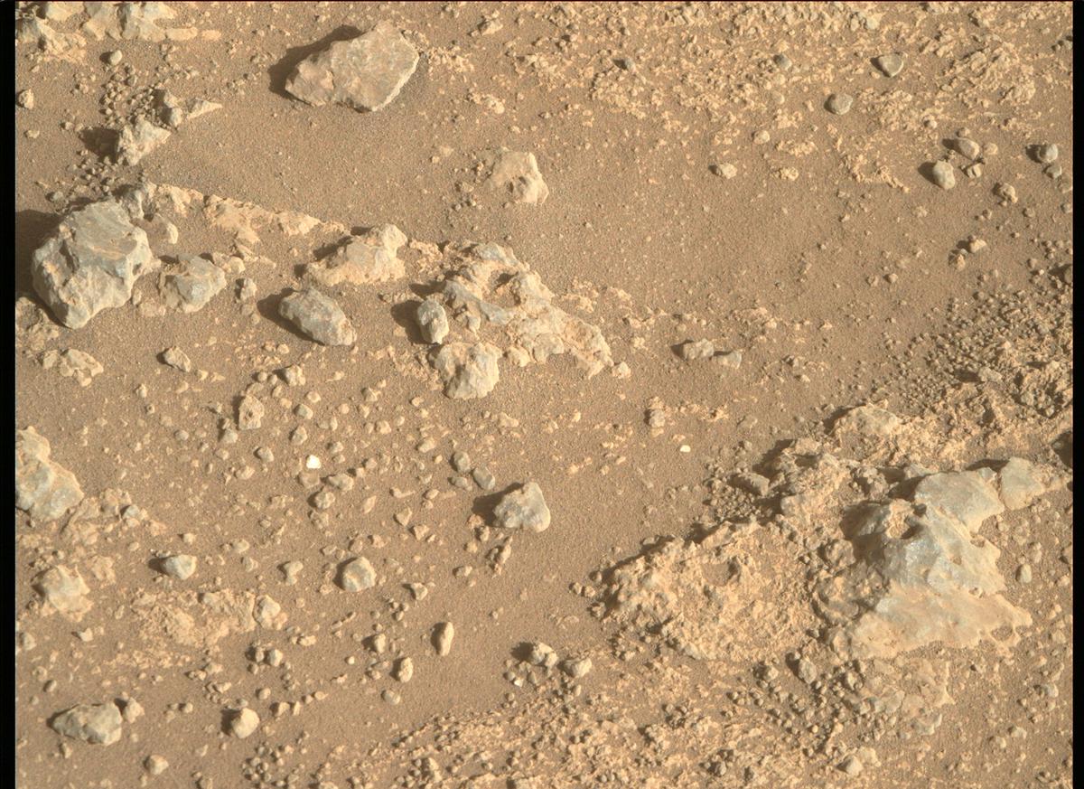 This image was taken by MCZ_RIGHT onboard NASA's Mars rover Perseverance on Sol 147