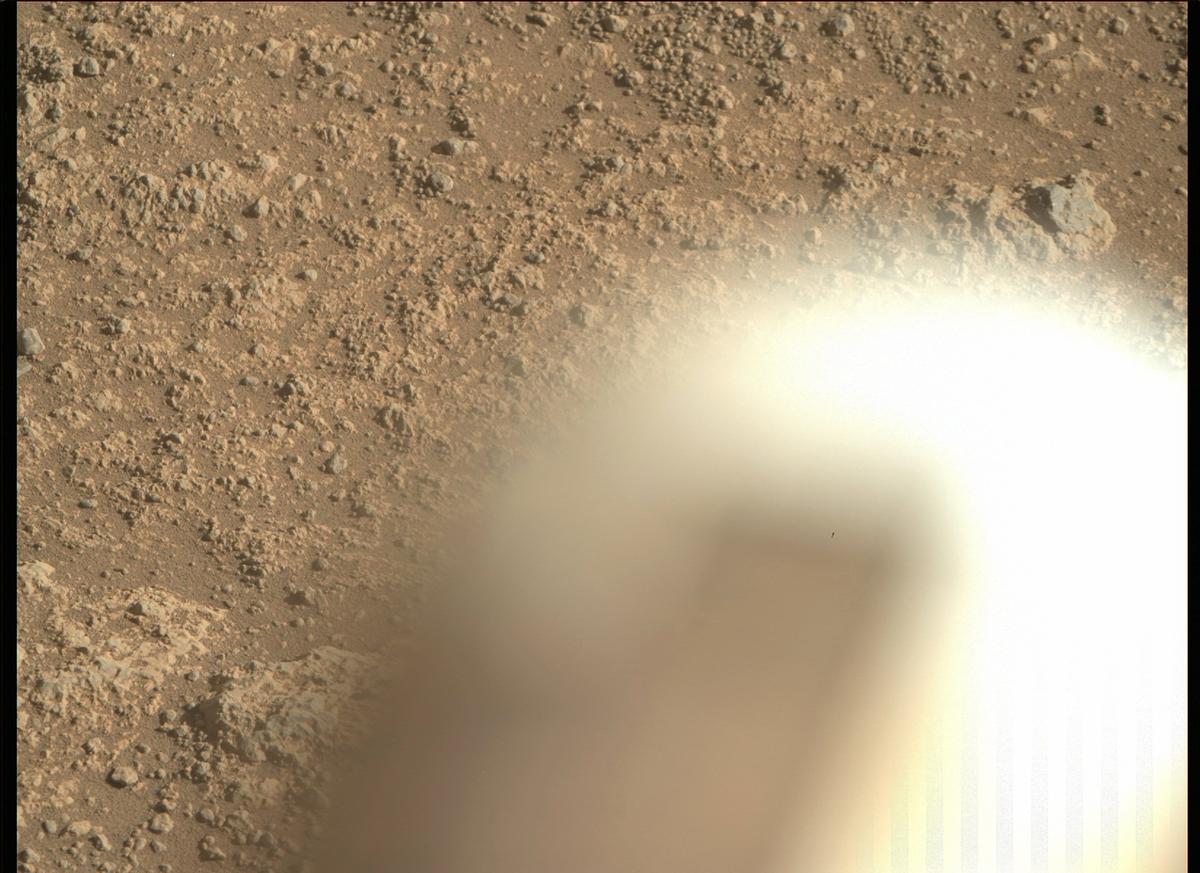This image was taken by MCZ_RIGHT onboard NASA's Mars rover Perseverance on Sol 147