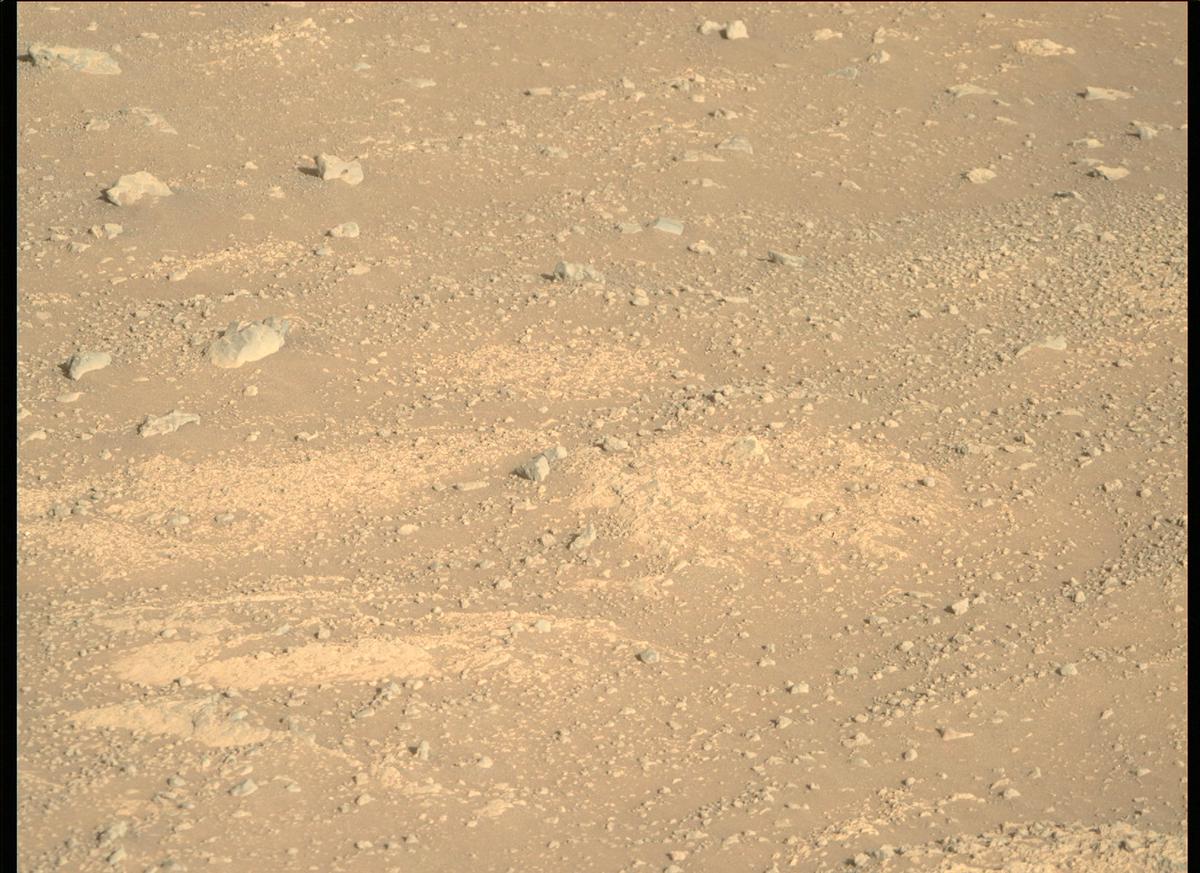 This image was taken by MCZ_RIGHT onboard NASA's Mars rover Perseverance on Sol 147