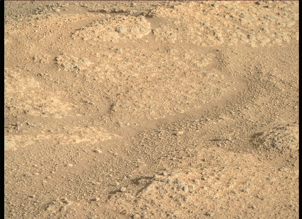 This image was taken by MCZ_RIGHT onboard NASA's Mars rover Perseverance on Sol 147