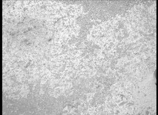 View image taken on Mars, Mars Perseverance Sol 151: Right Mastcam-Z Camera