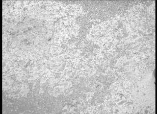 View image taken on Mars, Mars Perseverance Sol 151: Right Mastcam-Z Camera