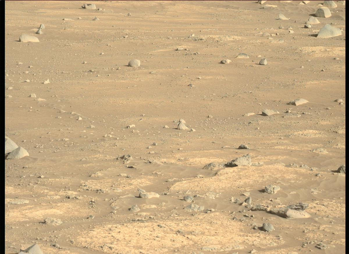 This image was taken by MCZ_LEFT onboard NASA's Mars rover Perseverance on Sol 153