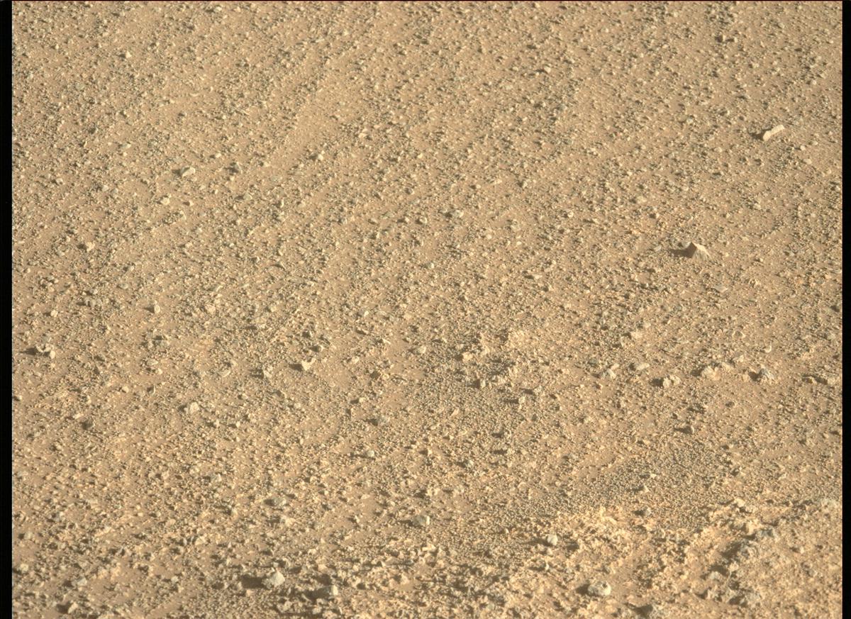 This image was taken by MCZ_LEFT onboard NASA's Mars rover Perseverance on Sol 155