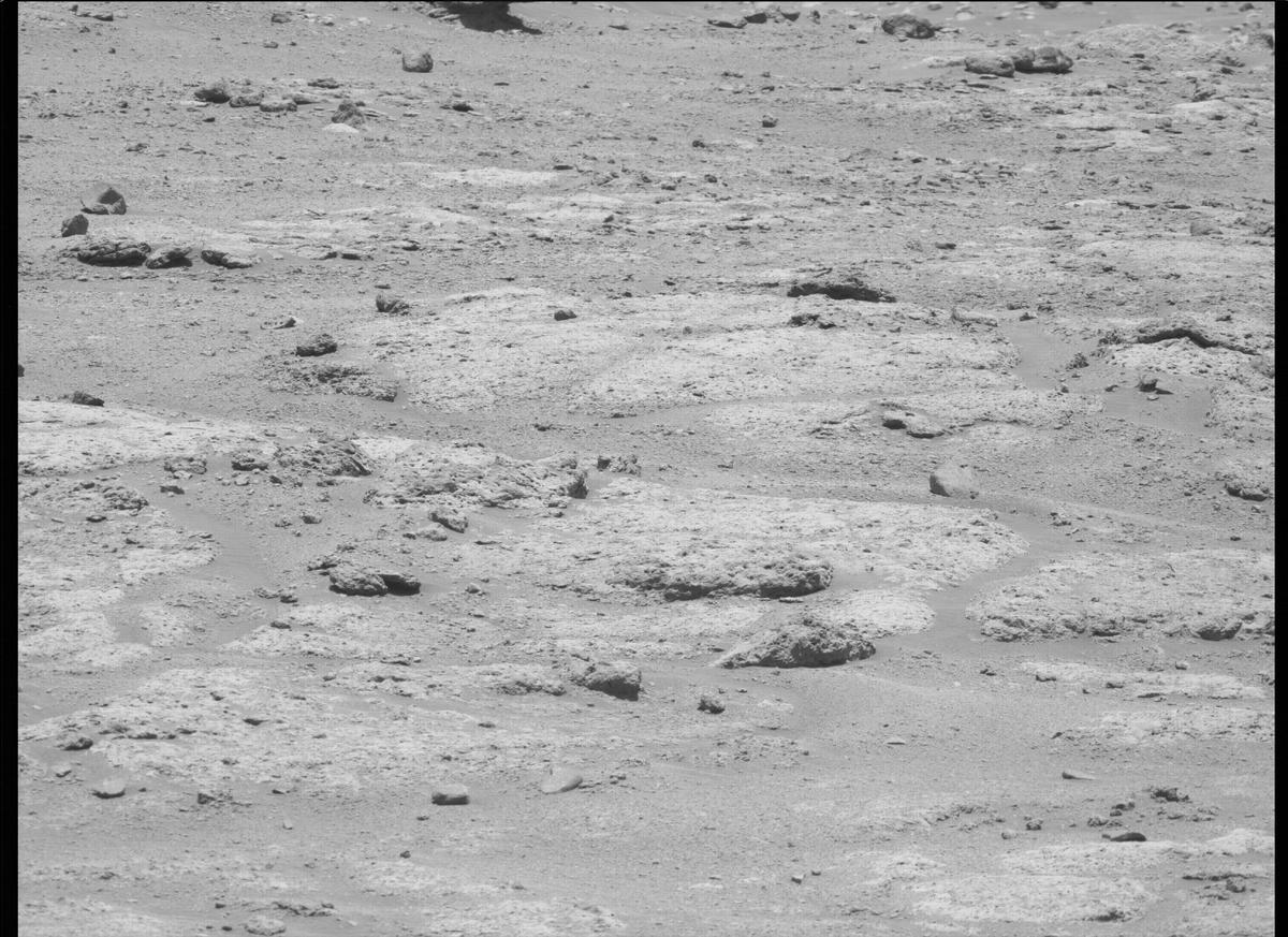 This image was taken by MCZ_LEFT onboard NASA's Mars rover Perseverance on Sol 156