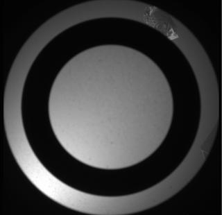 View image taken on Mars, Mars Perseverance Sol 157: SkyCam Camera 