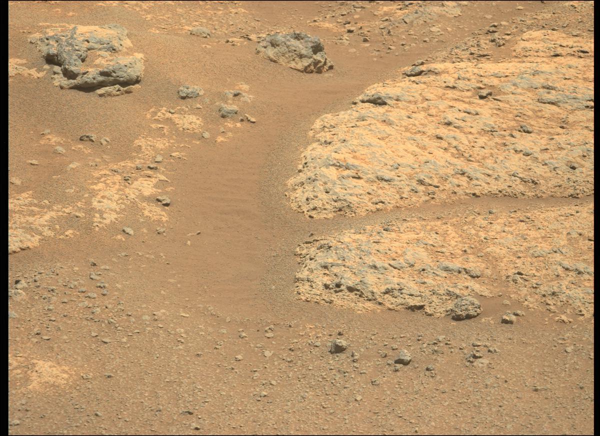 This image was taken by MCZ_LEFT onboard NASA's Mars rover Perseverance on Sol 157
