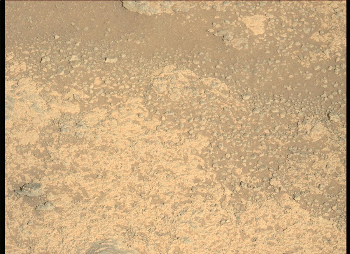 This image was taken by MCZ_LEFT onboard NASA's Mars rover Perseverance on Sol 157