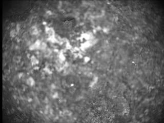 View image taken on Mars, Mars Perseverance Sol 162: SHERLOC ACI Camera 