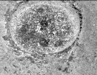 View image taken on Mars, Mars Perseverance Sol 162: Left Mastcam-Z Camera