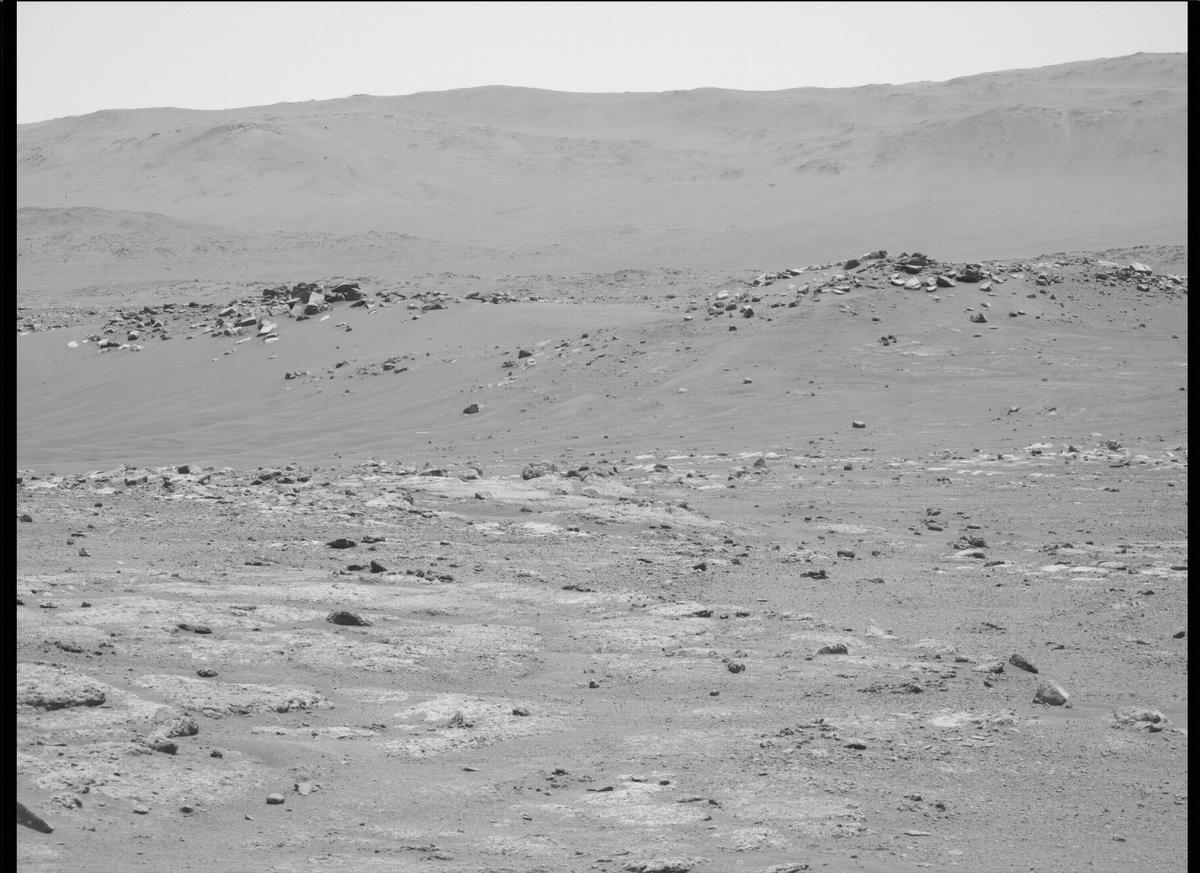 This image was taken by MCZ_LEFT onboard NASA's Mars rover Perseverance on Sol 163