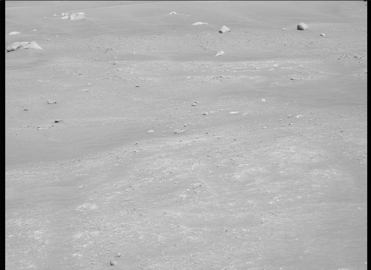 This image was taken by MCZ_LEFT onboard NASA's Mars rover Perseverance on Sol 163