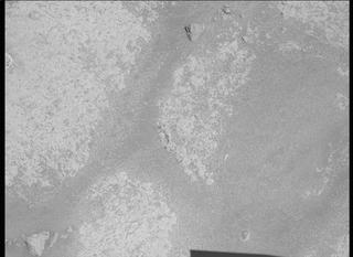 View image taken on Mars, Mars Perseverance Sol 163: Left Mastcam-Z Camera