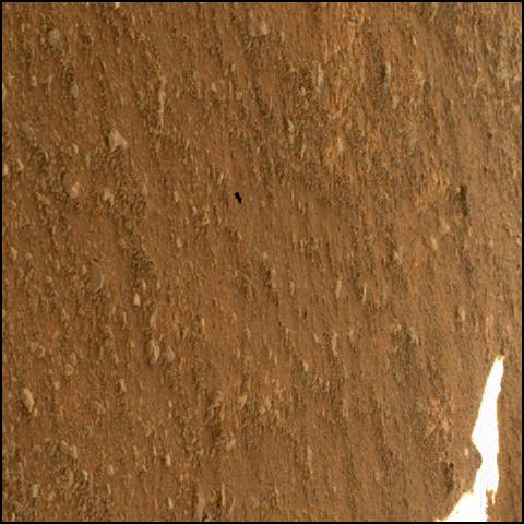 This image was taken by SHERLOC_WATSON onboard NASA's Mars rover Perseverance on Sol 166