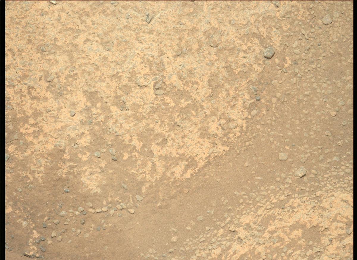This image was taken by MCZ_LEFT onboard NASA's Mars rover Perseverance on Sol 166