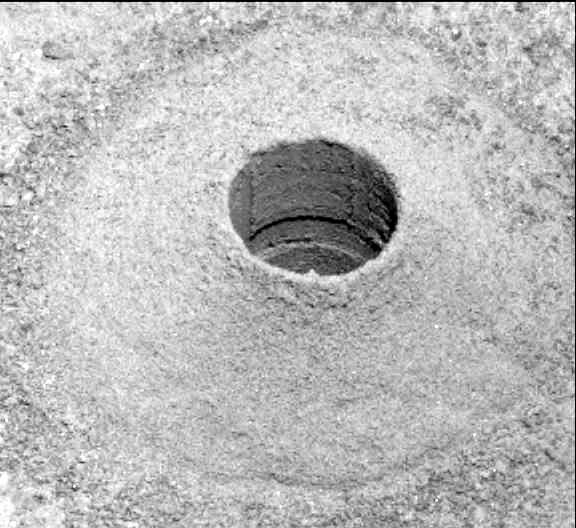 This image was taken by MCZ_LEFT onboard NASA's Mars rover Perseverance on Sol 166