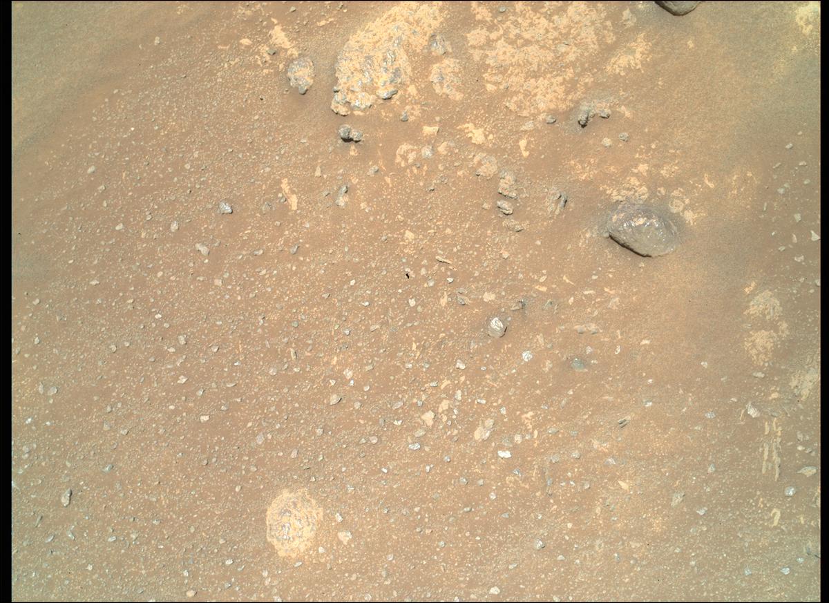 This image was taken by SHERLOC_WATSON onboard NASA's Mars rover Perseverance on Sol 167