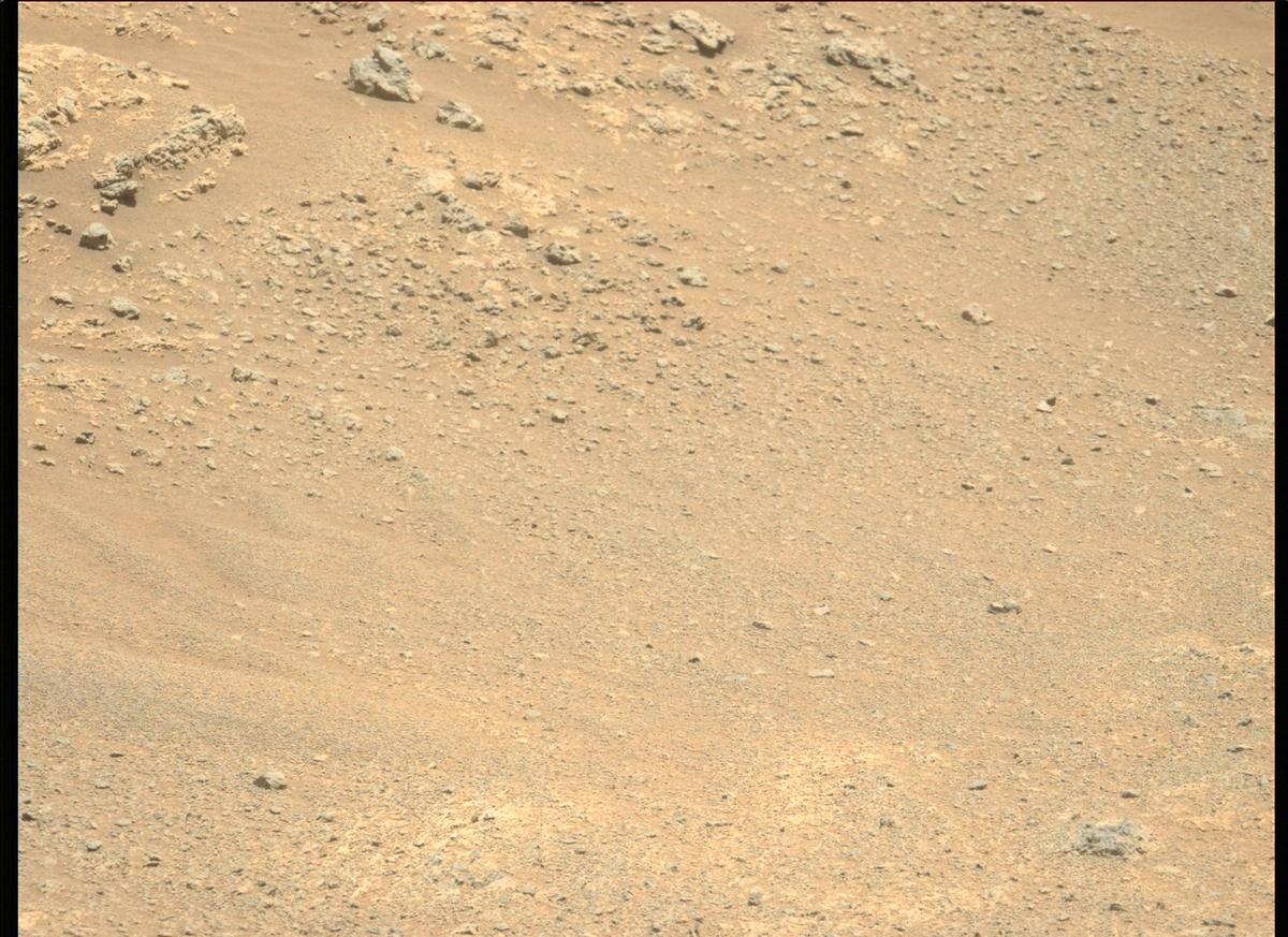 This image was taken by MCZ_LEFT onboard NASA's Mars rover Perseverance on Sol 167