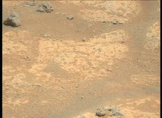 View image taken on Mars, Mars Perseverance Sol 167: Left Mastcam-Z Camera
