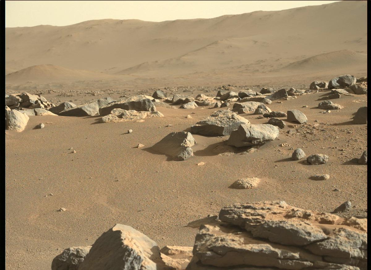 This image was taken by MCZ_LEFT onboard NASA's Mars rover Perseverance on Sol 168